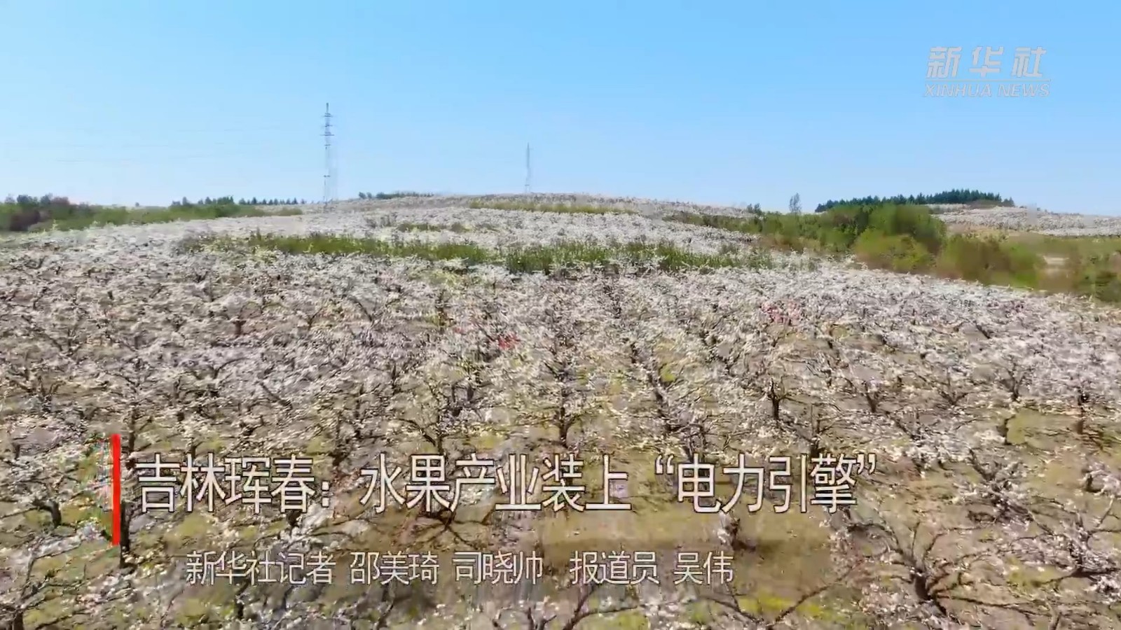水果產(chǎn)業(yè)裝上‘電力引擎’