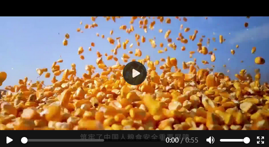 Screenshot 2024-04-25 at 06-46-52 “數(shù)”說首屆東北圖書交易博覽會-中國吉林網(wǎng).png
