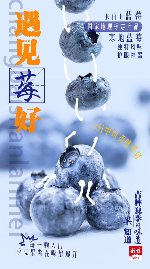 截圖1722002455.png