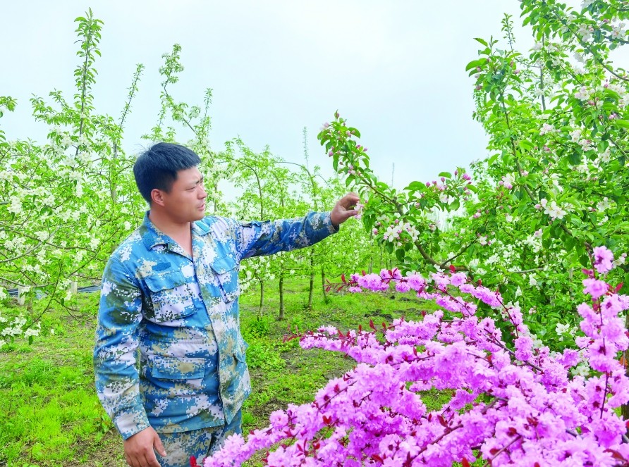 圖1.jpg