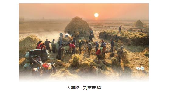 江城：鄉(xiāng)村盛開文明花