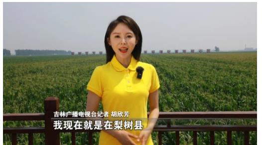 (牢記囑托 踔厲奮進(jìn)）吉林：保護(hù)黑土地 建設(shè)大糧倉