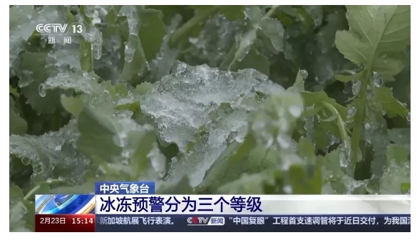 冰凍預(yù)警如何分級(jí),？有什么標(biāo)準(zhǔn),？專家解答→