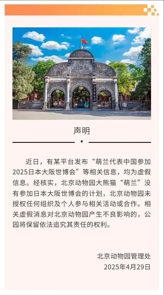 大熊貓萌蘭出國(guó)？北京動(dòng)物園回應(yīng) 
